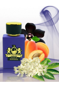 Obrázok pre Lion Francesco Havana vôňa Havany Parfum unisex 60ml (chýba cca 3 ml) inšpirovaná Pink Molecule Zarkoperfume